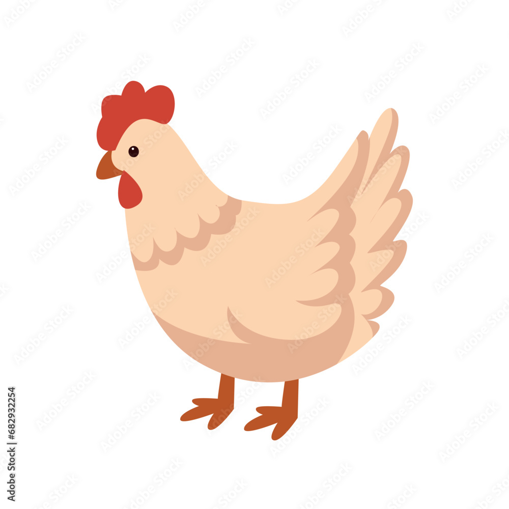 Cartoon domestic chicken. Cute farm animals vector isolated set