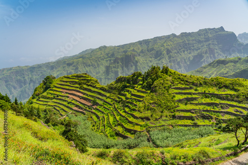 Green terrace fields on volcanic mountains surrounding with green grass on Santo Antao Island, Cape Verde