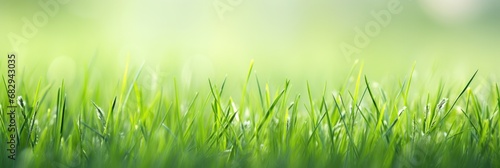 Lush Green Grass Meadow Background for Relaxing. Enjoy the Beauty of Nature, Fresh, Green, and Lush Grass with this Natural Garden Background