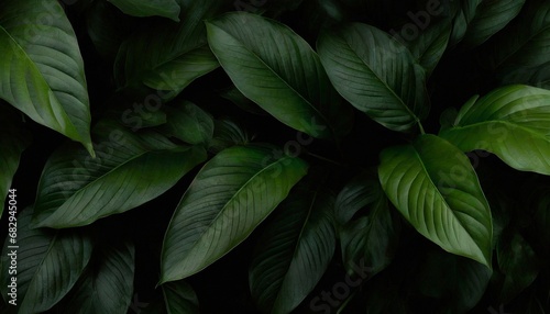 Abstract green leaf texture, nature background, tropical leaves