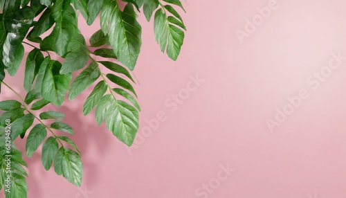 Trendy pink background with green tropical plants and leaves.  