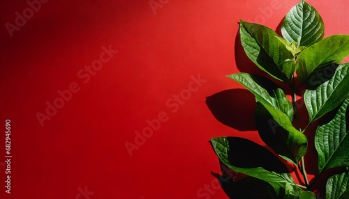 Trendy red background with green tropical plants and leaves