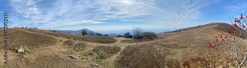 Cold Mountain - Amherst County, VA