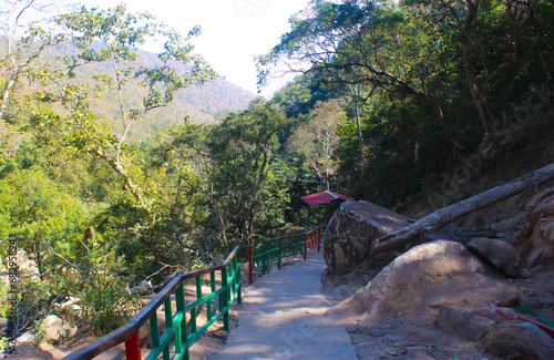 path in the jungle landscape,india 2023 november 07