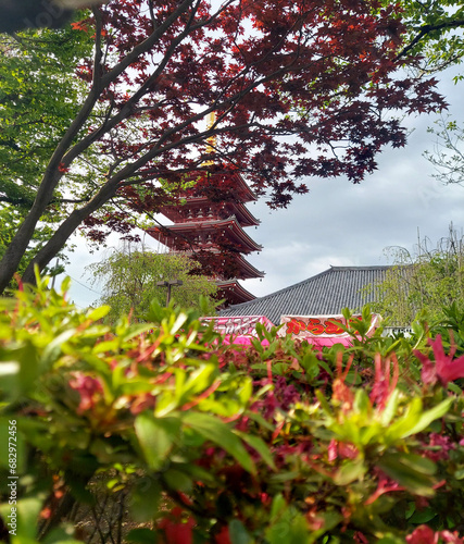 Summer foliage in tokyo