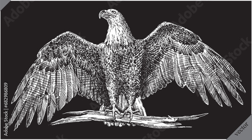 black and white engrave isolated eagle vector illustration