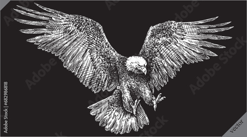 black and white engrave isolated eagle vector illustration