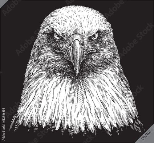 black and white engrave isolated eagle vector illustration