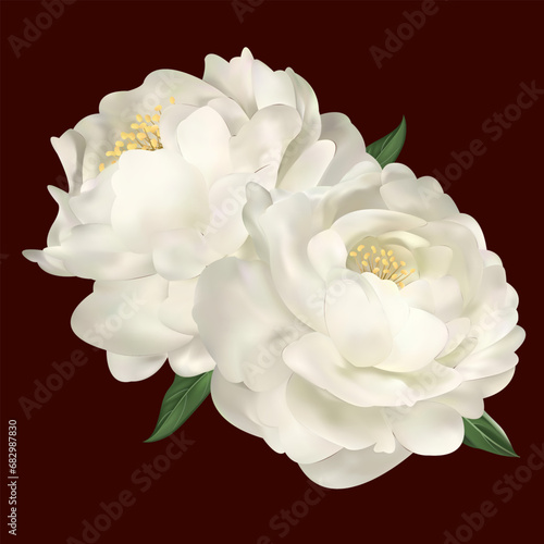 Luxurious white flower on black background. Vector realistic floral decor, 3d illustration. Peony blossom.