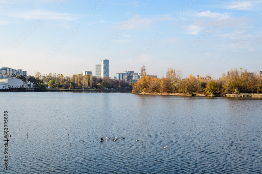 Fototapeta premium Landscape with trees and the lake in Linden Park (Parcul Tei), in Bucharest, Romania, in a sunny autumn day with white clouds and blue sky