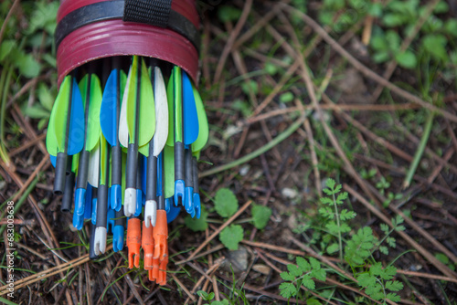 Fiber purple quiver full of arrows over forest ground photo