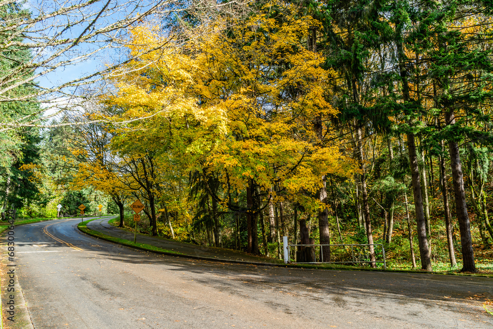 Obraz premium Seahurst Park Fall Ends 7