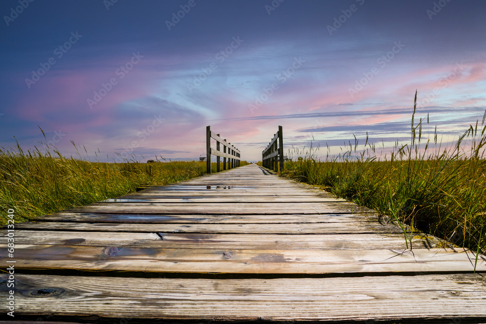 wooden bridge in the salt marshes on the north sea in the blue sunset