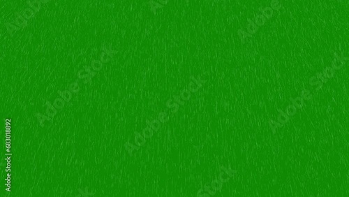 Rain animation on a green screen. Loop animation of Heavy Rain green background