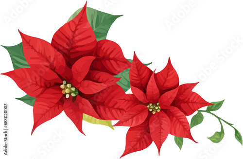 Christmas Watercolor Red Poinsettia Flowers With Leaves Bouquet