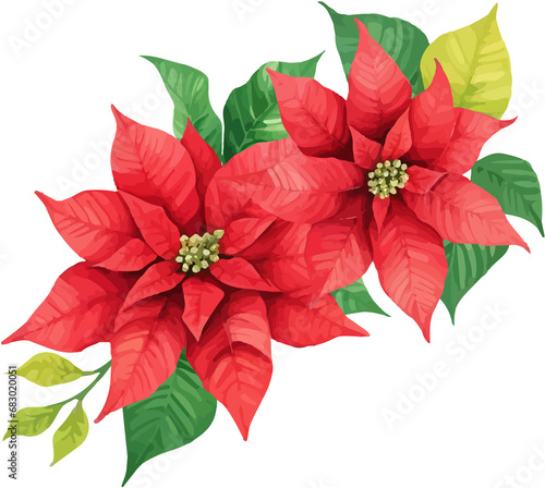 Christmas Watercolor Red Poinsettia Flowers With Leaves Bouquet