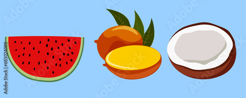 mango, coconut, watermelon in vector.fruit nut and berry in semi-realistic style.objects for application design website flyer booklet advertising packaging sticker.
