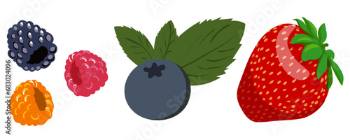 Fototapeta Naklejka Na Ścianę i Meble -  strawberries, blueberries, blackberries and raspberries in vector. berries in semi-realistic style. objects for the design of an application, website, leaflet, booklet, advertising, packaging, sticker
