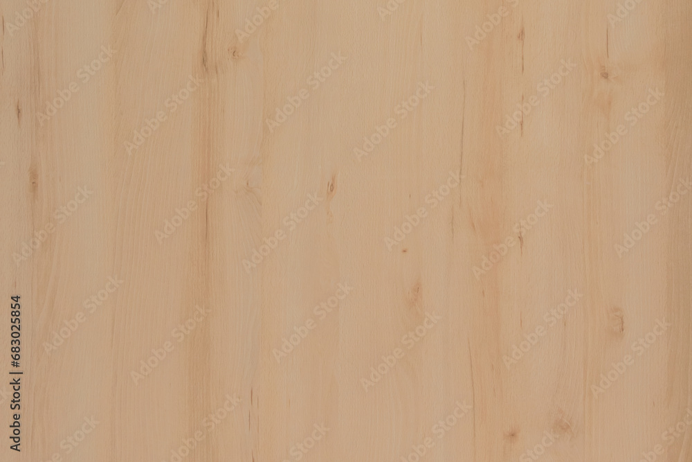 Fototapeta premium Blank empty surface smooth osb wood texture background design light