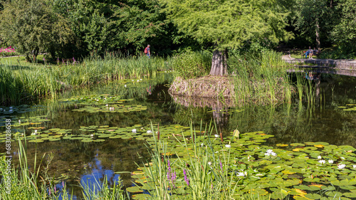 Krakow, Poland - July 18, 2023: Scenic view of beautiful pond in Jagiellonian University Botanical Garden in Krakow Malopolska region in Poland photo