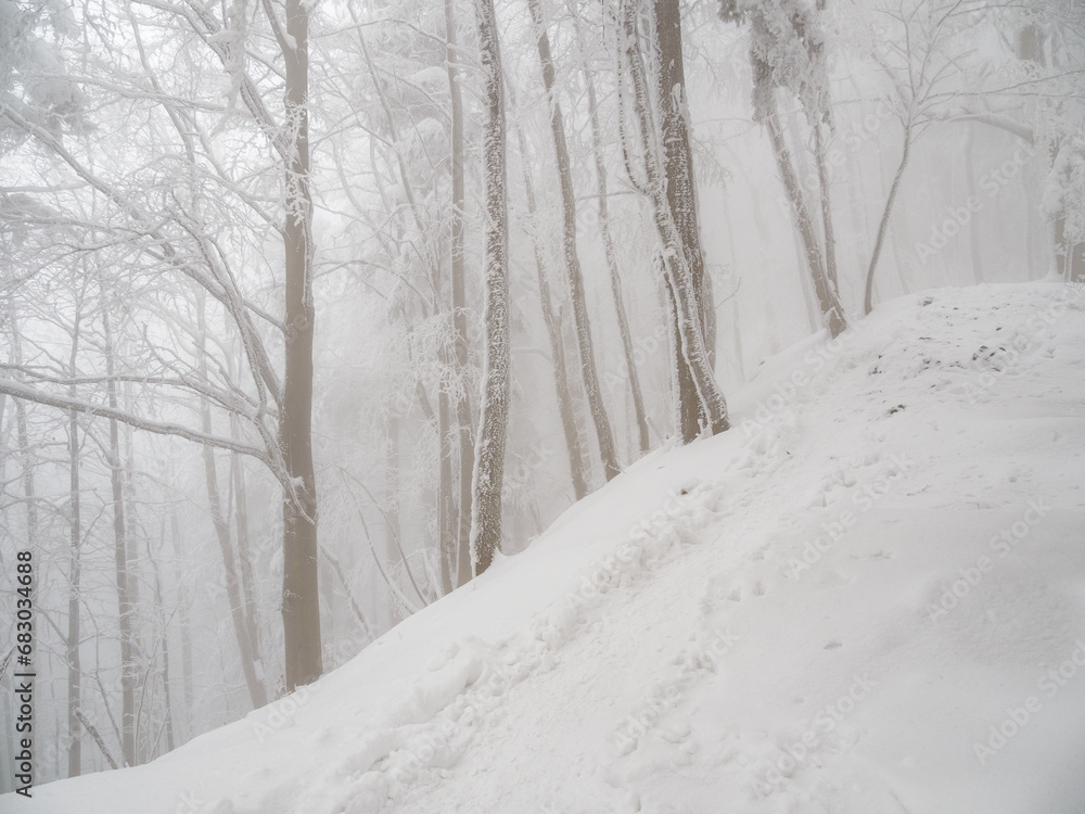 Winter landscape. Snow-covered trees. Magical winter forest. Winter landscape. Snow-covered trees. Magical winter forest.