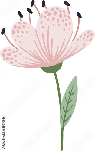 Pink flower. Illustration