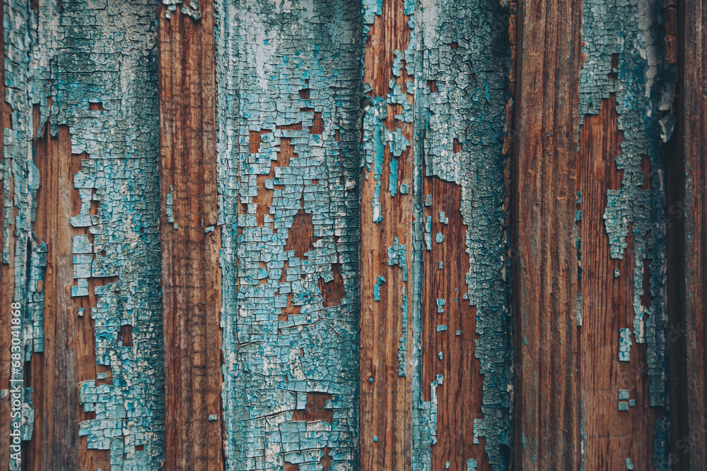 Old blue cracked paint. The texture of the old door with cracks. Dried in the sun and cracked color on the wall of country house. Peeling coating. Cracked paint on a wooden surface. Grunge texture. Old blue cracked paint. The texture of the old door with cracks. Dried in the sun and cracked color on the wall of country house. Peeling coating. Cracked paint on a wooden surface. Grunge texture.