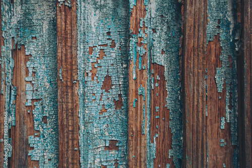 Old blue cracked paint. The texture of the old door with cracks. Dried in the sun and cracked color on the wall of country house. Peeling coating. Cracked paint on a wooden surface. Grunge texture.