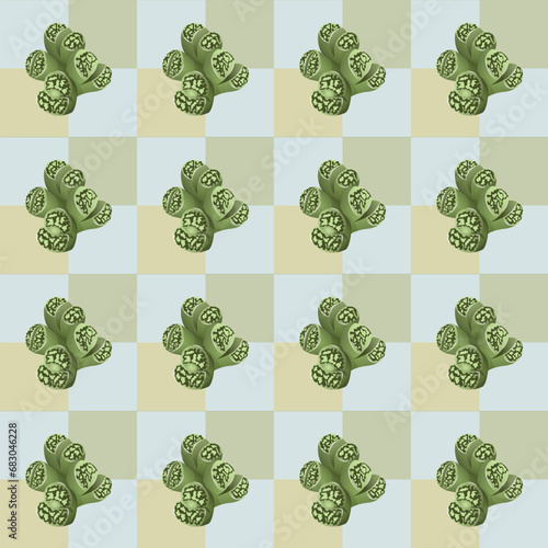 Succulent lithops plant geometric seamless pattern. Vector illustration.
