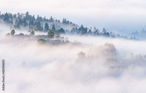 Misty mountain forest landscape in the morning, Pieniny mountains,  Little Poland