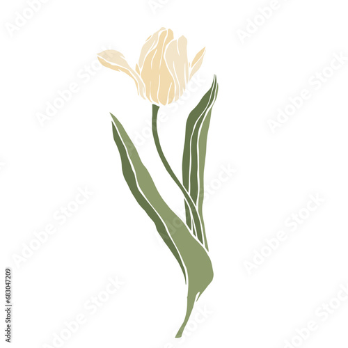 Spring tulip flower. Vector graphics.