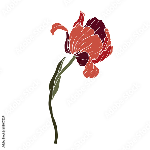 Spring tulip flower. Vector graphics.