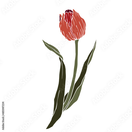 Spring tulip flower. Vector graphics.