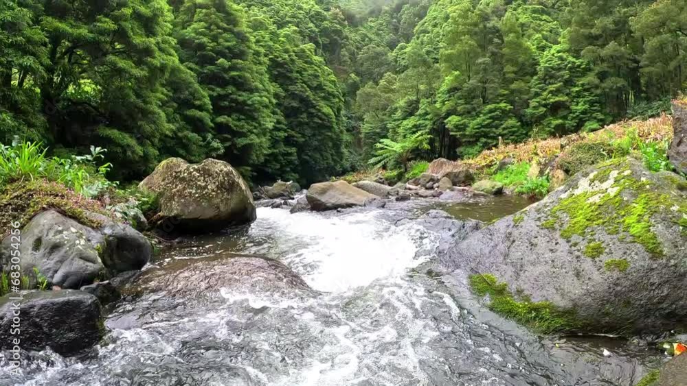 Water stream in the middle of a green forest in the island of Sao Miguel in Azores, Portugal Water stream in the middle of a green forest in the island of Sao Miguel in Azores, Portugal