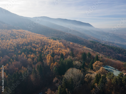 Aerial view of Old Sequoia forest, Bulgaria