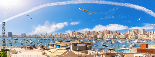 Full sealine Mediterranean panorama of Alexandria, Egypt photo