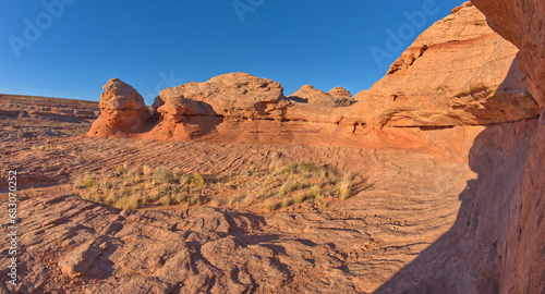 The Shiva Nandi Rock at the New Wave Page AZ