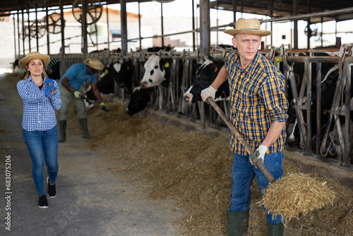 Confident man feeding cows, multiracial group of farmers working at dairy farm