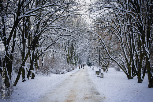 Winter scenery in park in Warsaw, Poland