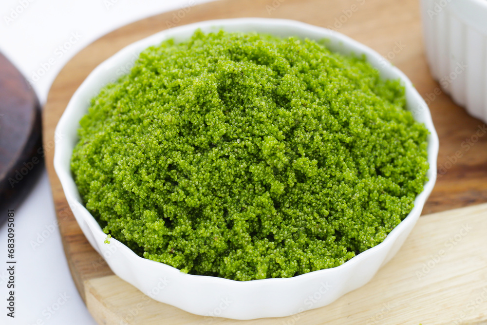 Wolffia globosa or swamp algae, water meal Wolffia globosa or swamp algae, water meal