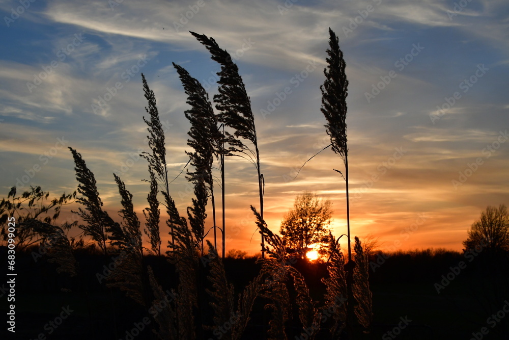 Rural Sunset Rural Sunset