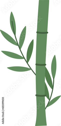 Bamboo Plant With Leaves