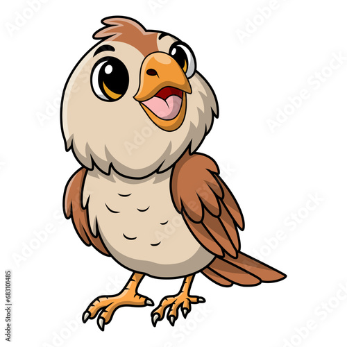 Cute quail bird cartoon on white background