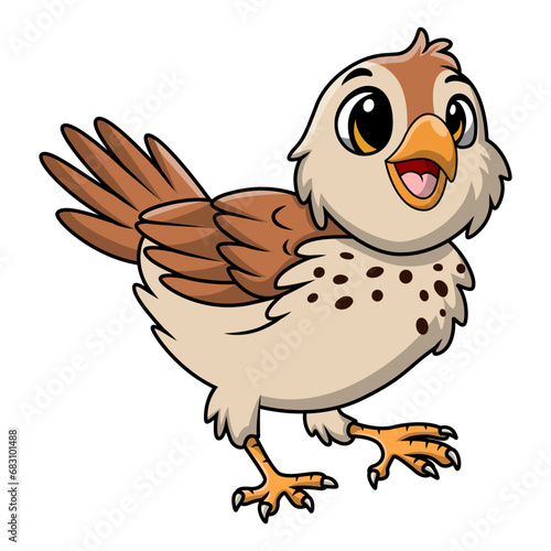 Cute quail bird cartoon on white background