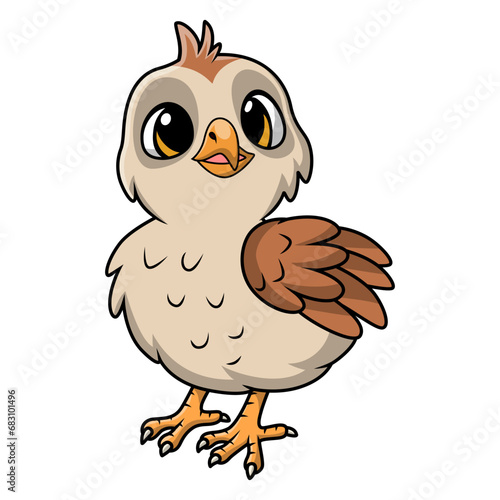 Cute quail bird cartoon on white background