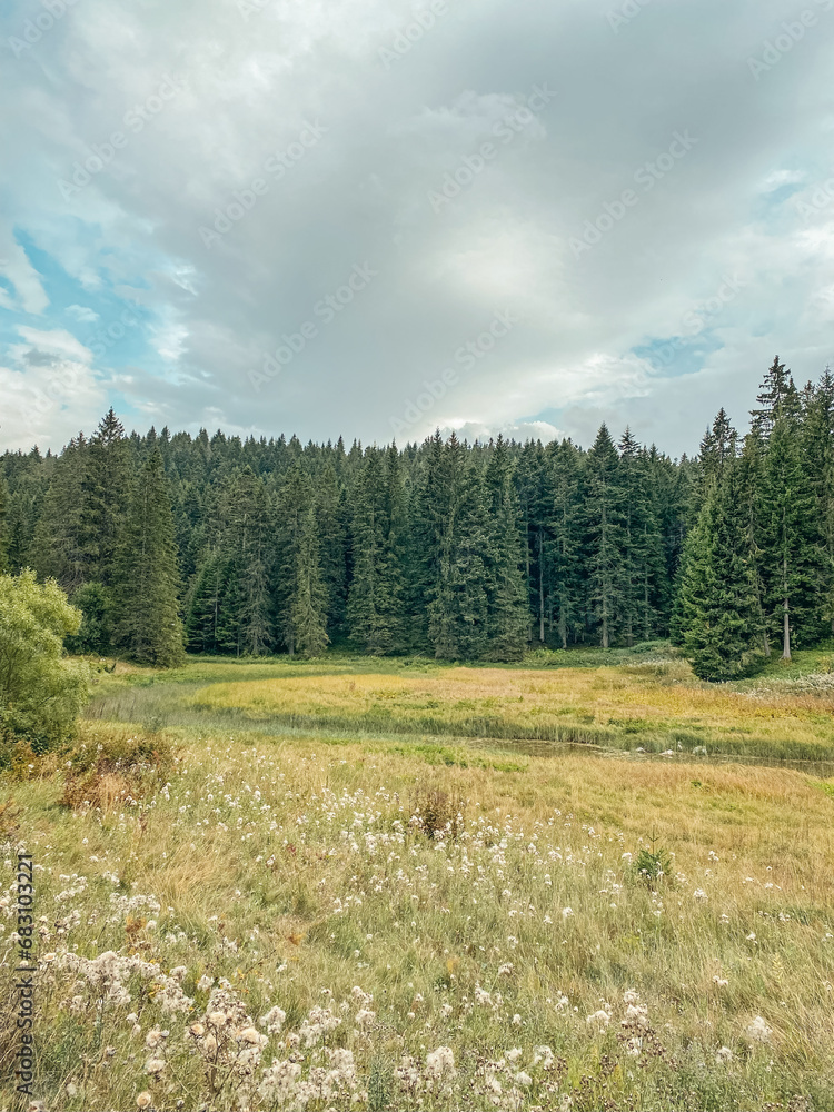 Wonderful view on forest and mountains at cloudy day in the national park Durmitor Wonderful view on forest and mountains at cloudy day in the national park Durmitor