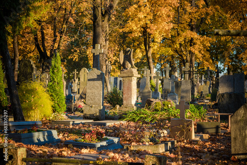 Old Cemetery in Lithuania, Europe. Autumn Leaves and Tree in Background