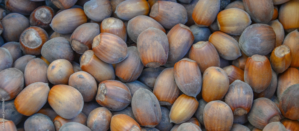 Hazelnut – edible fruit of various species of shrubs of the genus Hazel (Corylus). Hazelnuts have been consumed by people since ancient times. Hazelnut – edible fruit of various species of shrubs of the genus Hazel (Corylus). Hazelnuts have been consumed by people since ancient times.