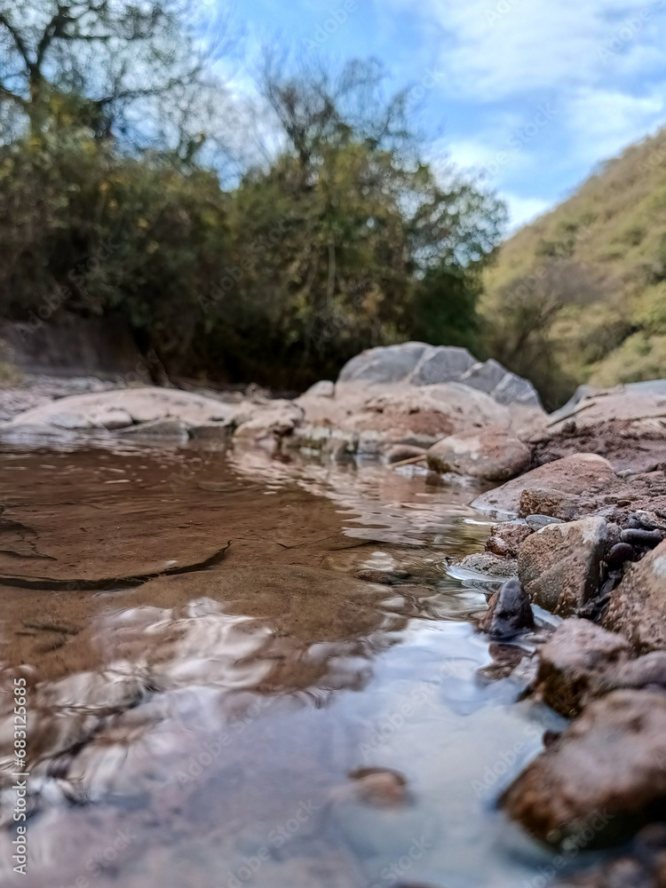 Landscape of a river with little water and a lot of vegetation Landscape of a river with little water and a lot of vegetation