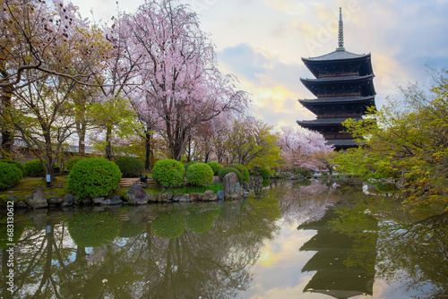 Kyoto, Japan - March 31 2023: Toji Temple founded at the beginning of the Heian Period after the capital moved to Kyoto in late 700. It's one of the best cherry blossom spots Kyoto city.